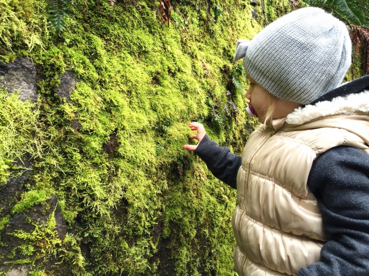 Processed with VSCOcam with a6 preset