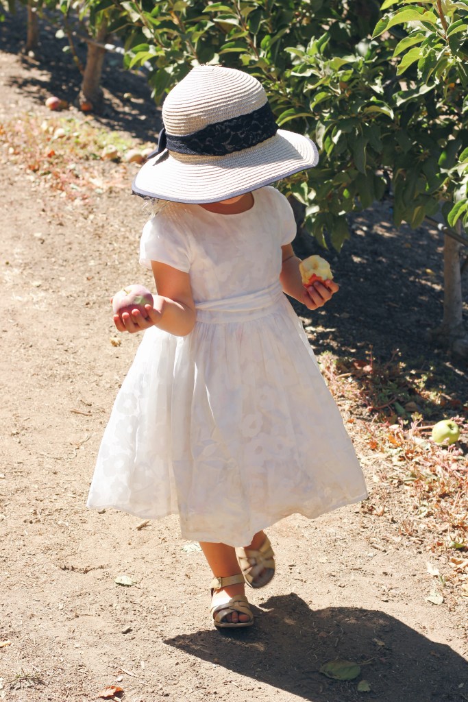 Processed with VSCO with hb1 preset