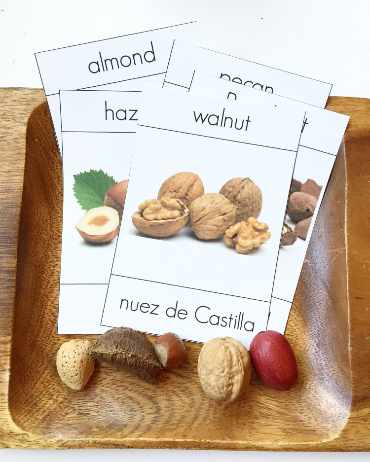 3 part montessori cards bilingual nuts nueces
