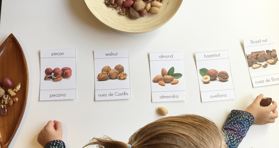 3 part cards montessori bilingual cards nuts nueces