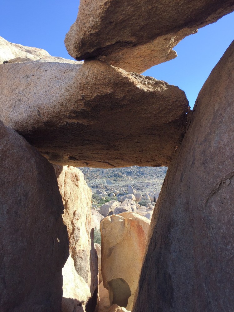 32519943-77f5-4bd5-98aa-971b7e213f96