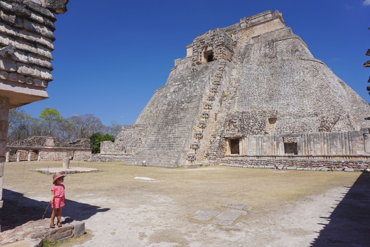 55eed58b-f5e8-4993-91ce-fdffebeb8c8c