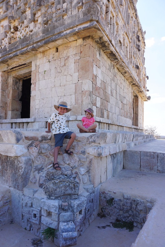 a5d9f496-97e2-4f6d-81dc-fce78edaf7b7