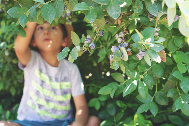 Processed with VSCO with t1 preset