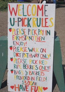 67c0fd65-00b7-46de-8540-799d930404e0