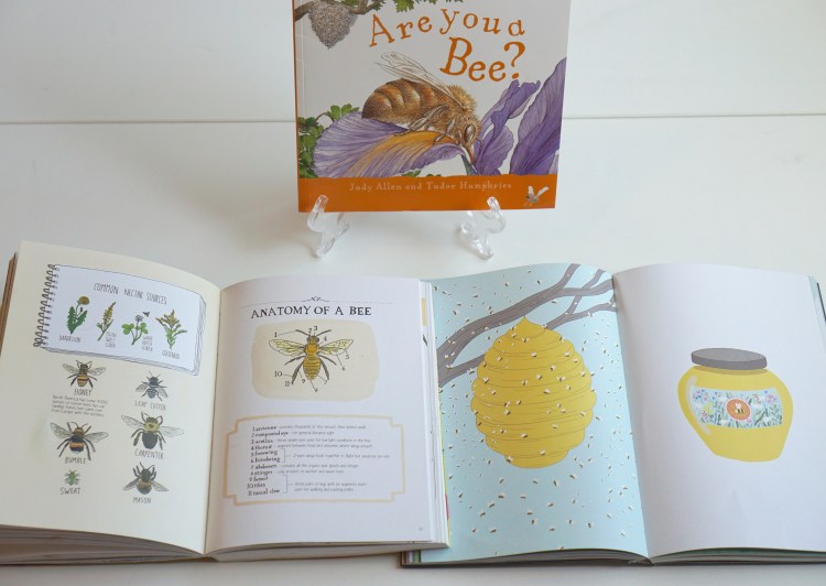 libros infantiles sobre abejas