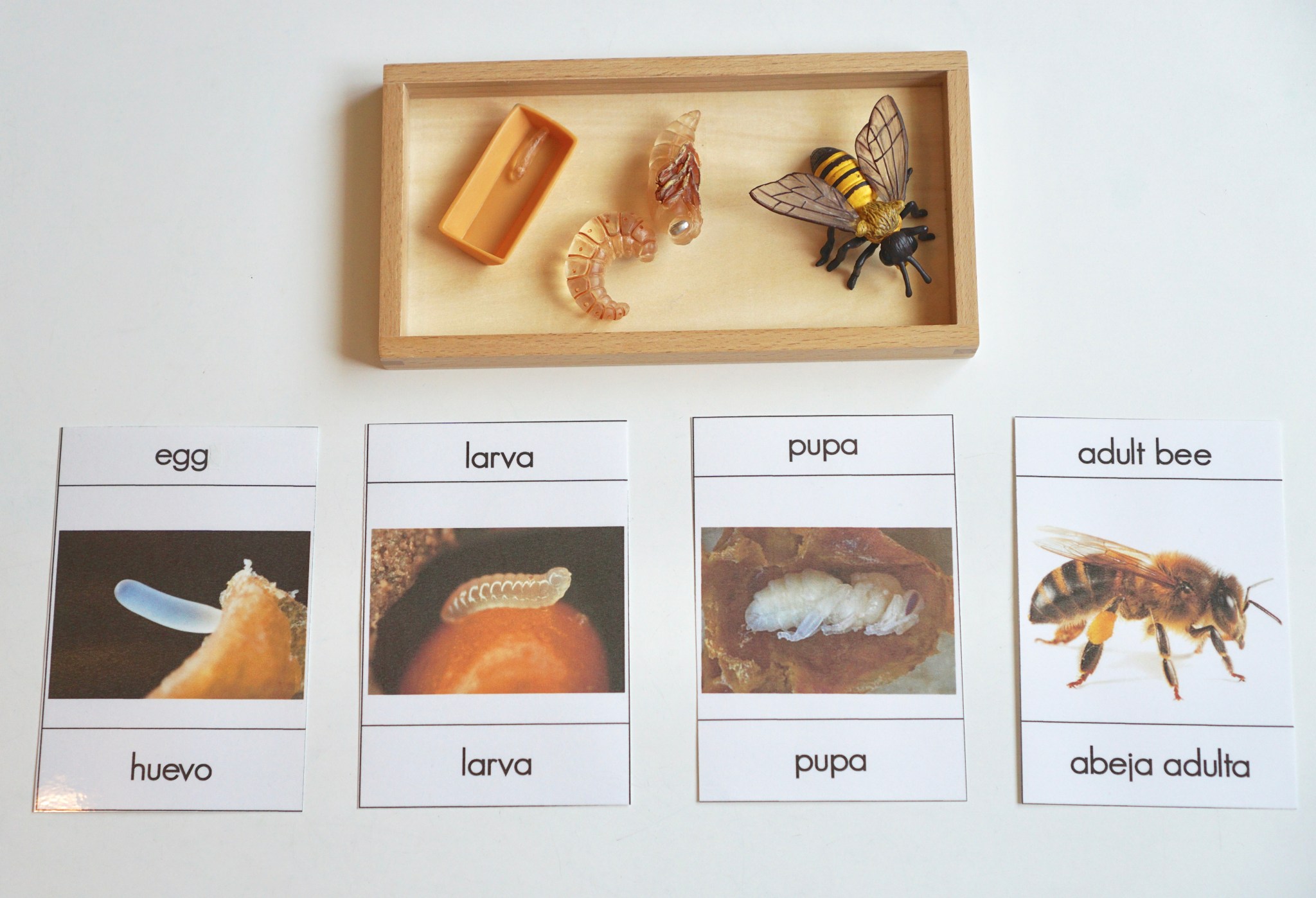 aae61a9e-1b3a-4f83-a23d-3db0847ac2e7