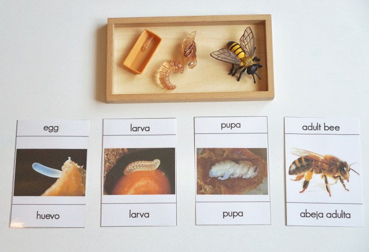 aae61a9e-1b3a-4f83-a23d-3db0847ac2e7