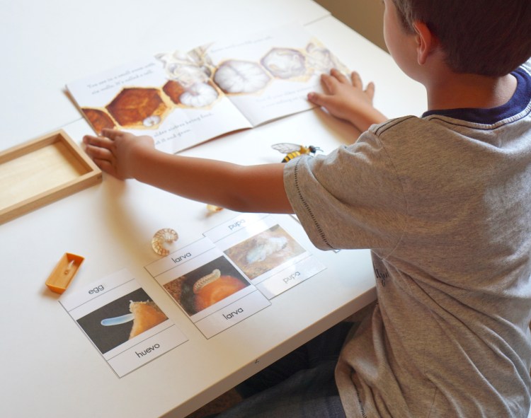 b3c1287b-41b4-480d-9ddc-f7ff840b6c94