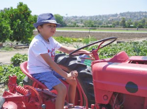 c7b3bcfa-8ffe-409f-b07a-bddce902a1cc-1