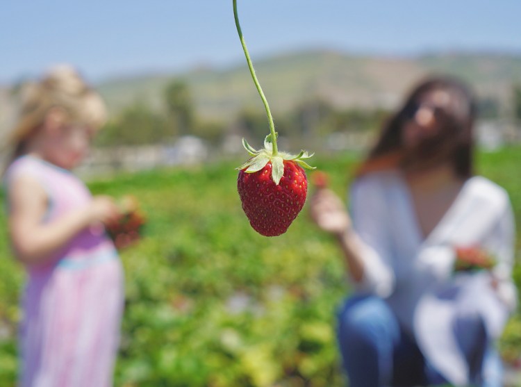 e0c8b64a-0866-48ac-ab29-16b37cf565e8-1