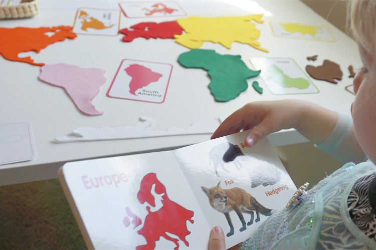 74dfbf70-e1d0-4662-a85e-5b7953ac79bf-1