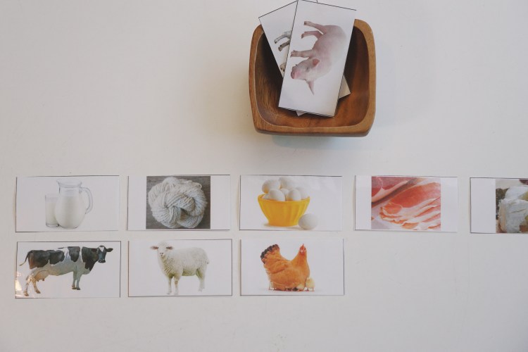 Actividades preescolares de granja para peques