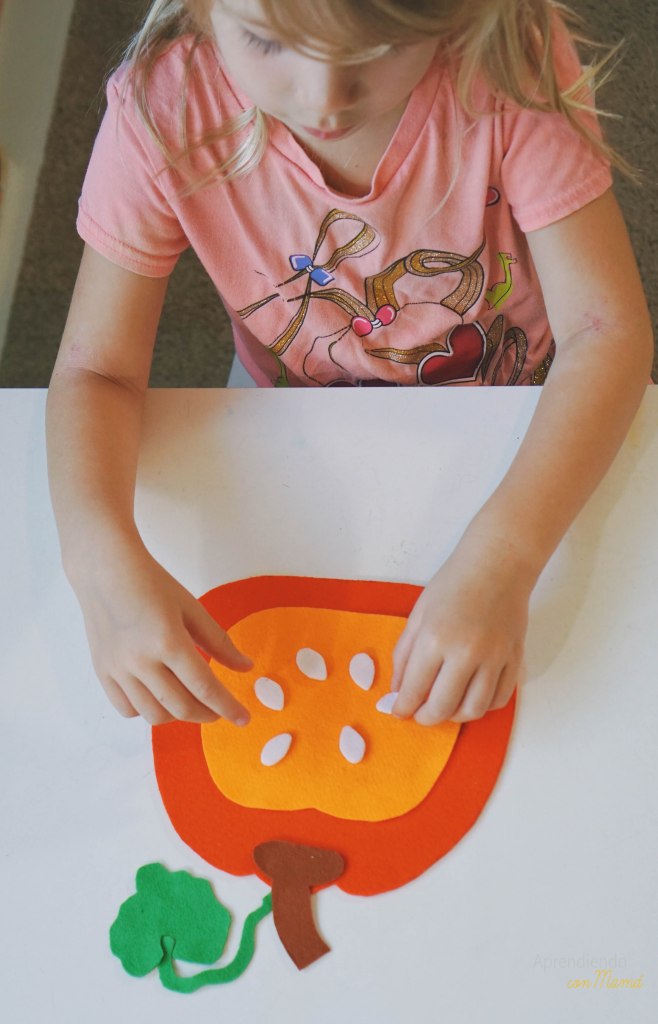 Tarjetas Montessori ciclo de vida calabaza preescolar actividades para niños imágenes reales