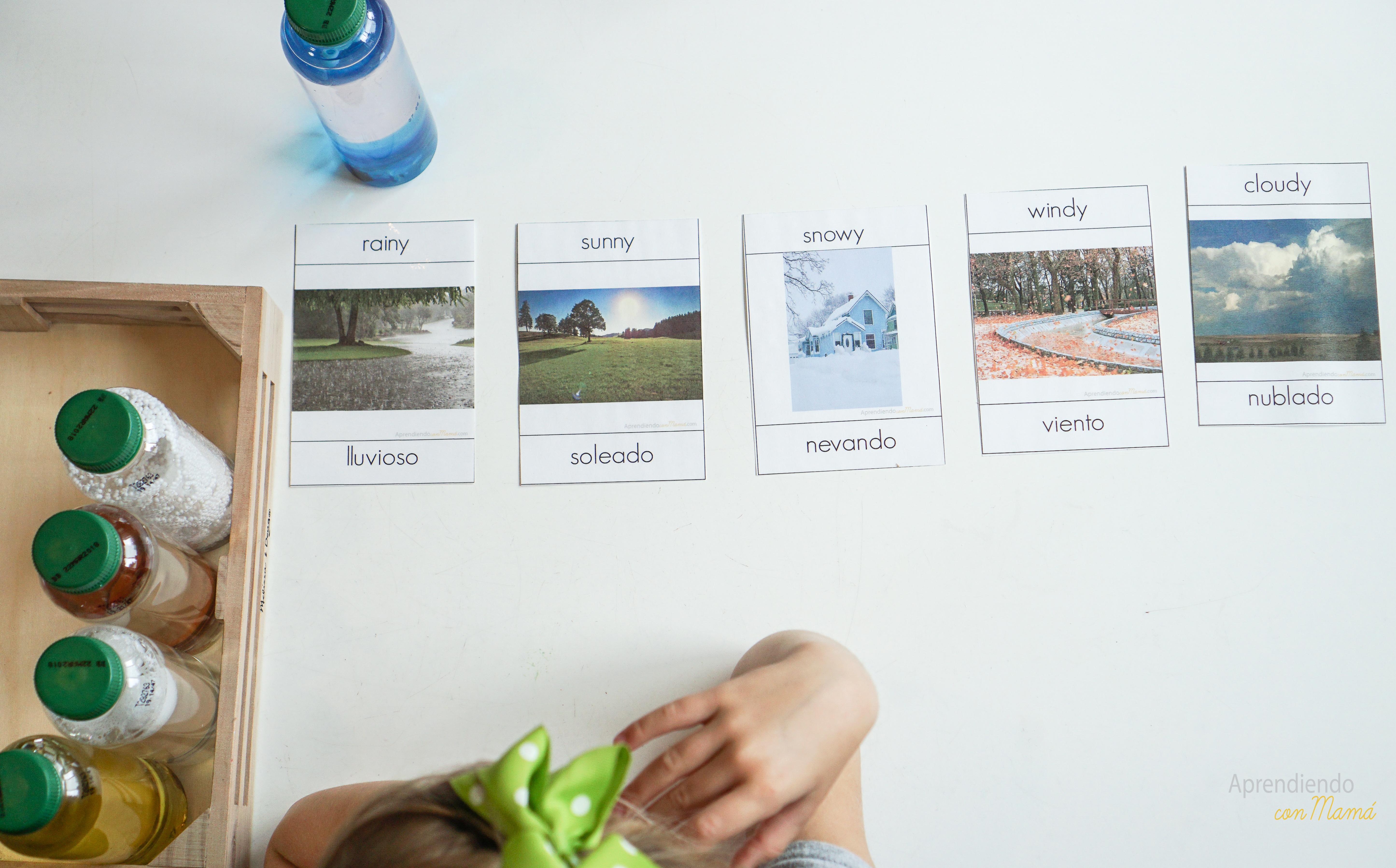 Free weather printables Montessori at home.