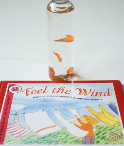 Weather theme bottles for learning. Montessori Kids activities
